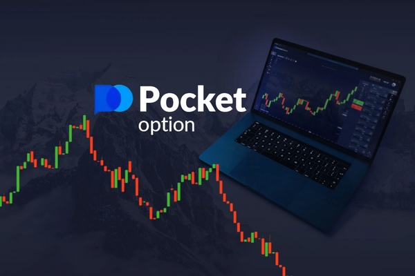 Comprehensive Guide to Broker Pocket Option