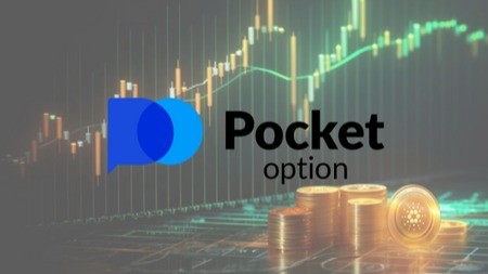 Comprehensive Guide to Broker Pocket Option