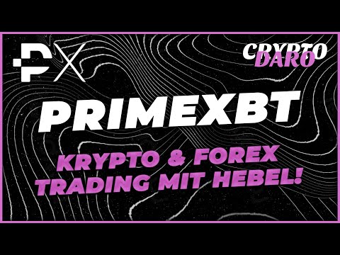 Exciting Opportunities Await in Contests PrimeXBT 3