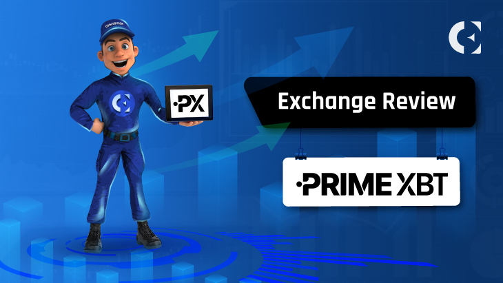 Ultimate Guide to PrimexBT Spot Trading Strategies and Insights